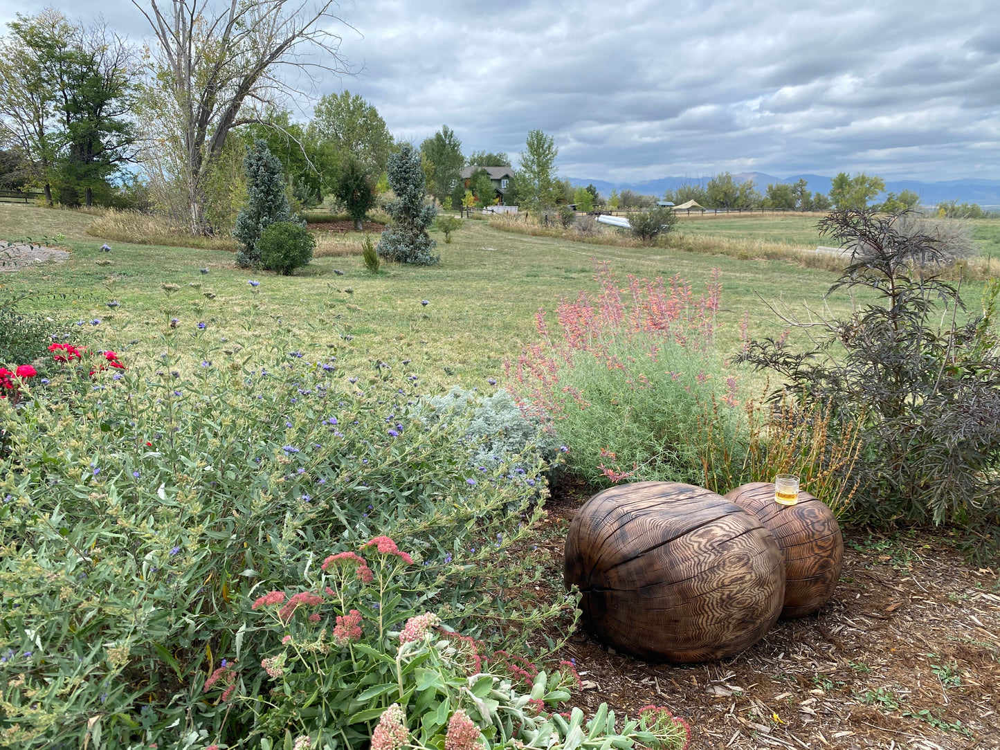 BUBU sculptural bench