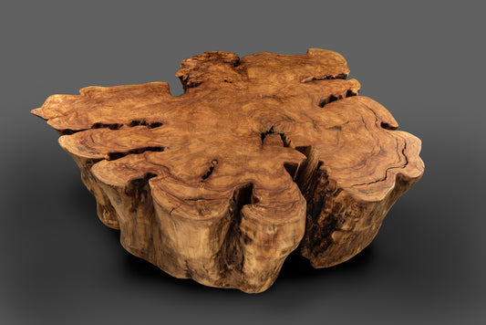 CAN DANCE sculptural lounge coffee table