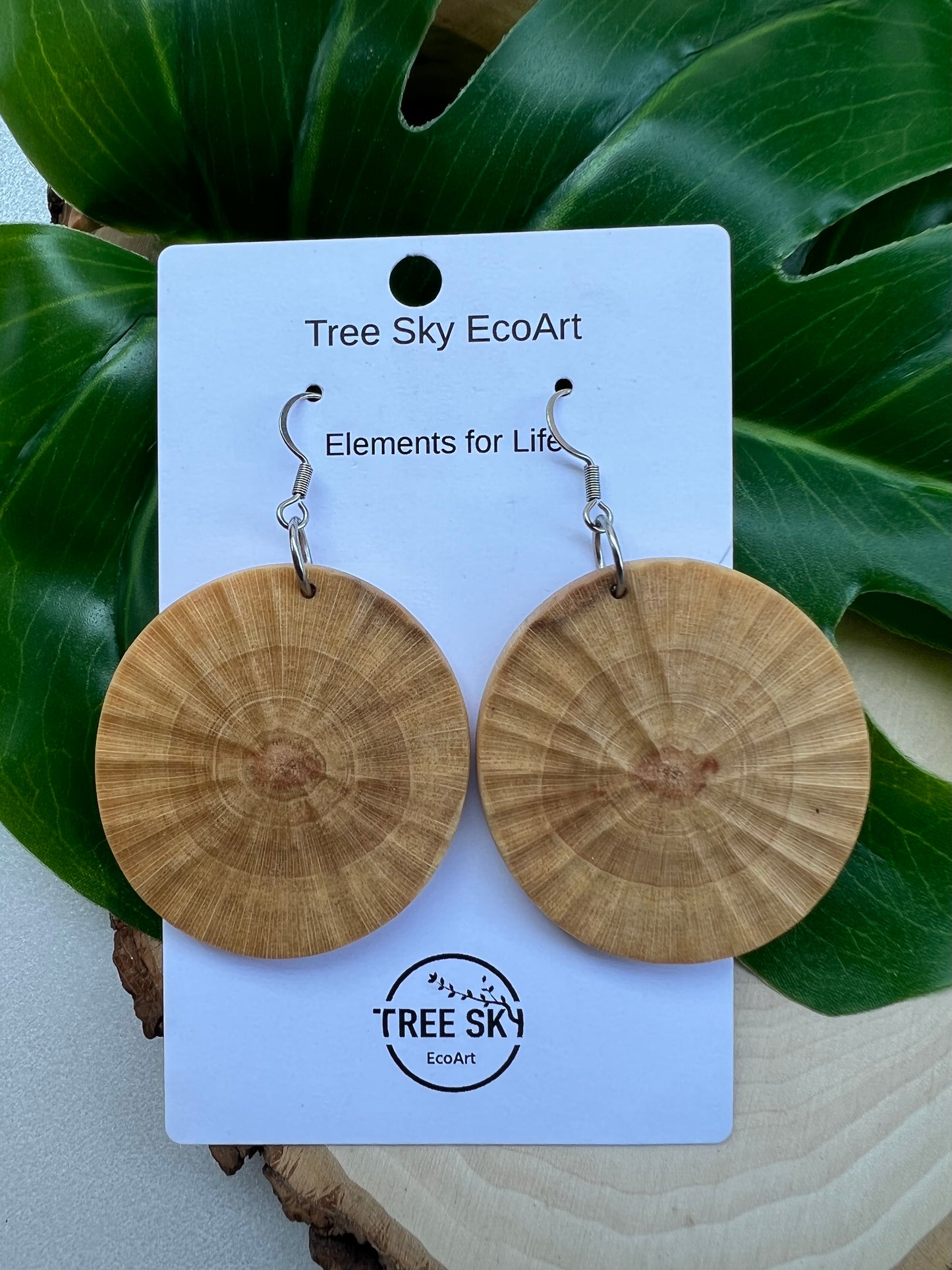 Creative Muse textured circle earrings